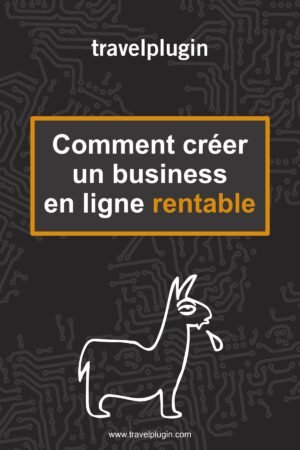 COMMENT CREER UN BUSINESS EN LIGNE RENTABLE