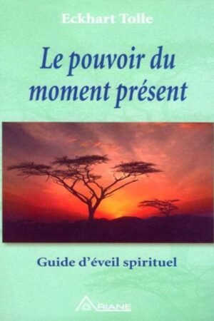 LE POUVOIR DU MOMENT PRESENT