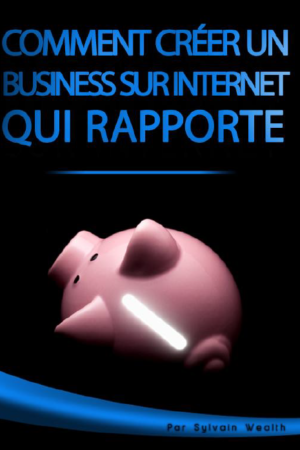 COMMENT CREER UN BUSINESS SUR INTERNET QUI RAPPORTE